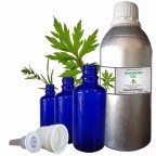 MUGWORT ESSENTIAL OIL, Artemisia Vulgaris, 100% Pure & Natural Essential Oil